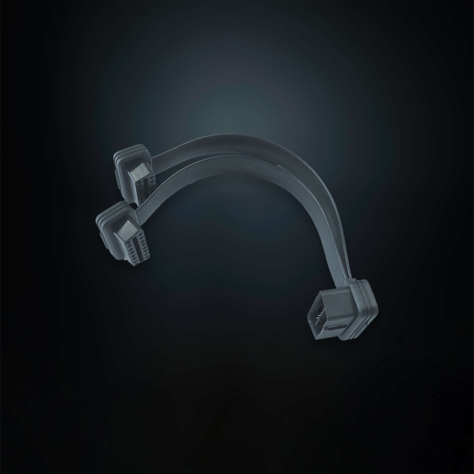 XBB 6